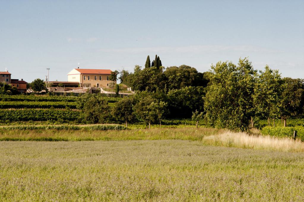 Agriturismo Panorama Villa Castelnuovo del Garda Exterior photo